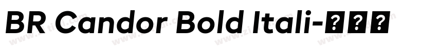 BR Candor Bold Itali字体转换